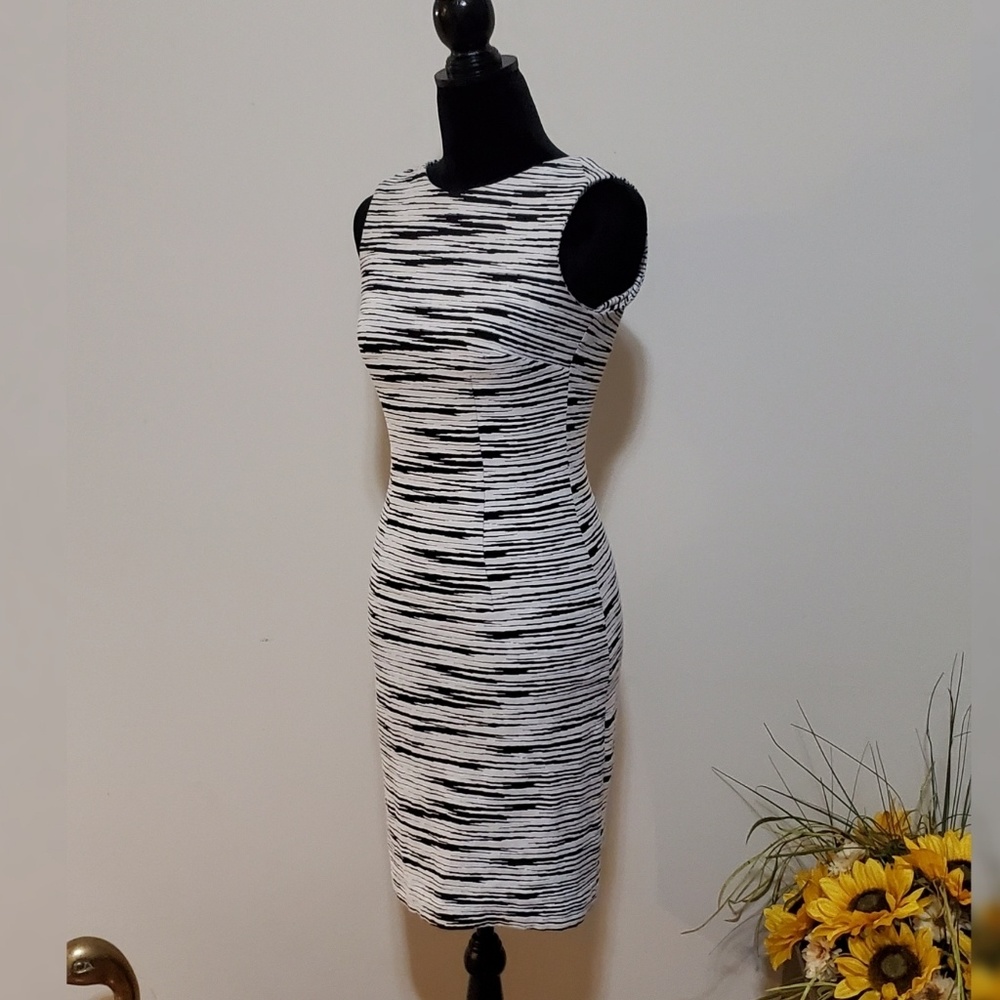Calvin Klein Black and White Sheath Dress